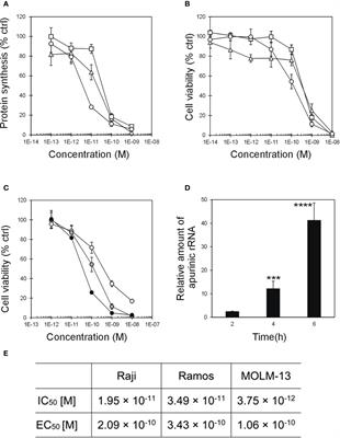 Early Response to the Plant Toxin Stenodactylin in Acute Myeloid Leukemia Cells Involves Inflammatory and Apoptotic Signaling